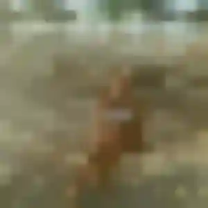 Marie-France, 39 ans, en ligne à Albi pour une rencontre coquine