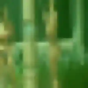 Pierrette, femme de 44 ans veut rencontre sexy à Annezin