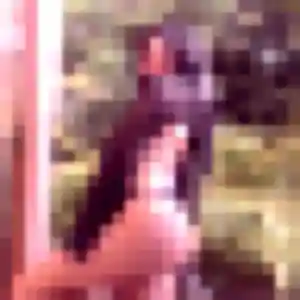 Louna, 27 ans, cherche un rencontre sexy à Arles