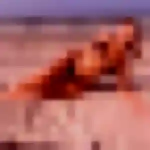 Marie-Claire, fille de 35 ans cherche rencontre sexy à Audun-le-Tiche