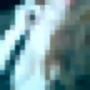 Hortense, 28 ans, connectée à Bègles pour une rencontre coquine