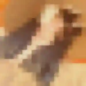 Suzanne, femme de 25 ans veut rencontre sexy à Behren-lès-Forbach