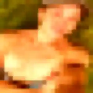 Photo perso de Flore, 42 ans à Bergerac - rencontre coquine