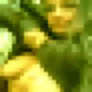 Photo exclusive de Xena, 44 ans à Binic-Étables-sur-Mer - rencontre sans lendemain