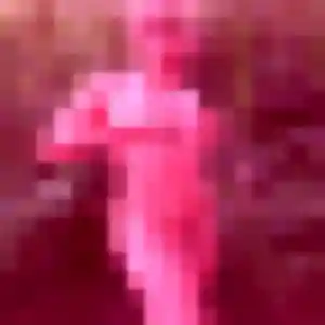 Penelope, 31 ans, cherche un rencontre sexy à Bras-Panon