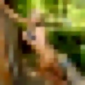 Brunehilde (21 ans) à Bron propose un rencontre sexy maintenant