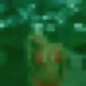 Tamara, 32 ans, connectée à Bruay-la-Buissière pour un rencontre sexy