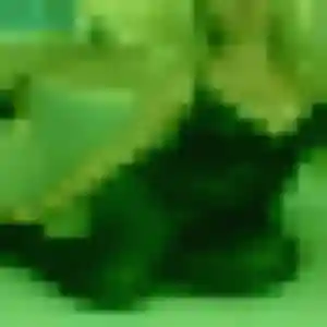Viviane, femme de 45 ans veut rencontre sexy à Castanet-Tolosan