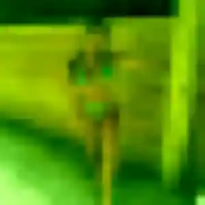 Dounia (19 ans) à Castres cherche un rencontre sexy maintenant