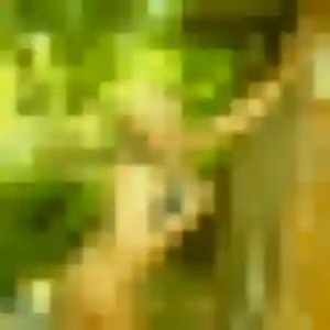 Photo perso de Dana, 39 ans à Ceyrat - plan discret