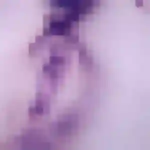 Elise de Chambly, 35 ans - rencontre sexy sans lendemain