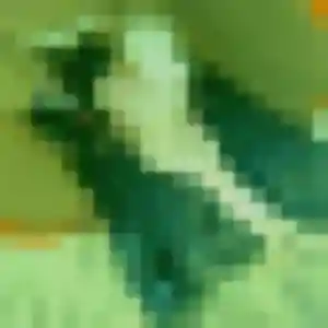 Photo privée de Flavie, 27 ans à Chilly-Mazarin - plan discret