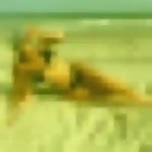 Graziella (36 ans) à Crolles cherche un rencontre sexy rapidement