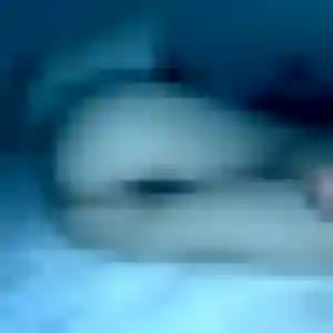 Erika, 35 ans, dispo pour rencontre sexy à Esbly