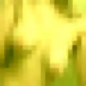 Photo exclusive de Hilary, 40 ans à Gennevilliers - rencontre coquine