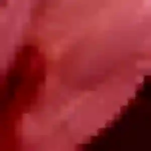Florence, 30 ans, veut un rencontre sexy à Gond-Pontouvre