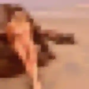Photo de Jean-Marie à Gretz-Armainvilliers (31 ans) - rencontre sexy anonyme