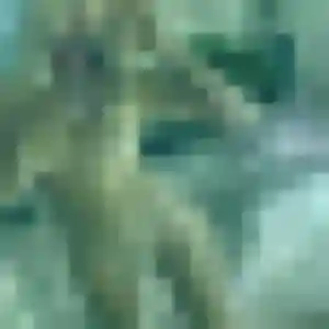 Charmante Celine, 35 ans à Grigny - la contacter