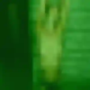 Oriane, 40 ans, cherche un rencontre sexy à Grigny