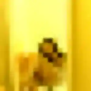 rencontre sexy à Guilers : photo de Rania, 24 ans - accès libre