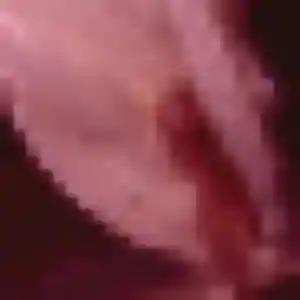 Blandine (43 ans) à Horbourg-Wihr cherche un rencontre sexy aujourd'hui