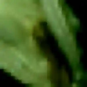Imane de Houilles, 41 ans - rencontre sexy discret