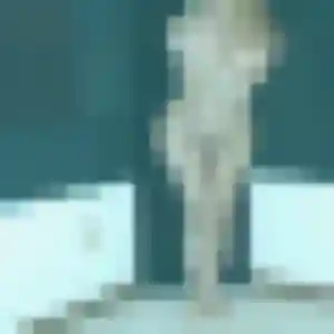 Agnes, 43 ans, dispo pour rencontre sexy à Inzinzac-Lochrist