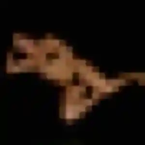 Valentine, 40 ans, cherche un rencontre sexy à La Chapelle-Saint-Mesmin