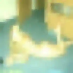 Priscilla, 32 ans, dispo pour rencontre sexy à La Ferté Macé