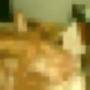 Sexy Zina, 22 ans à La Penne-sur-Huveaune - découvrir son profil