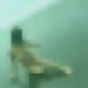Colombine (43 ans) à La Talaudière cherche une rencontre maintenant