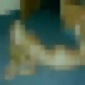 Estee, 19 ans, connectée à Lamentin pour un rencontre sexy