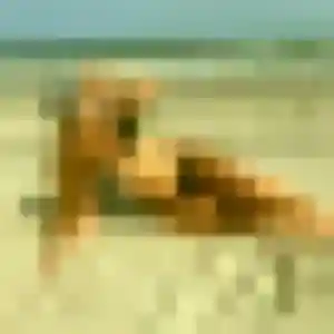 Photo de Germaine à Landivisiau (45 ans) - rencontre sexy sans inscription