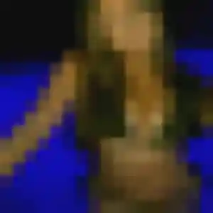 Sexy Elena, 38 ans à Lannemezan - la contacter
