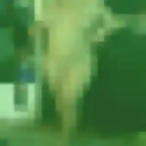 rencontre sexy à Lannion : photo de Brunehilde, 38 ans - inscription gratuite
