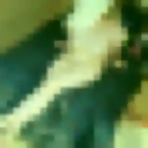 Photo de Ornella à Le Creusot (31 ans) - rencontre sexy anonyme