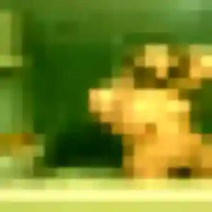 Photo exclusive de Salima, 33 ans à Le Pontet - rencontre coquine