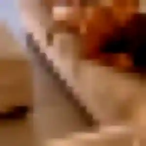 Photo de Giulia à Le Relecq-Kerhuon (35 ans) - rencontre sexy anonyme