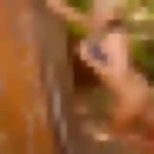 Angelique, femme de 31 ans veut rencontre sexy à Lunel