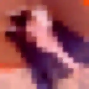 Giulia, femme de 37 ans propose rencontre sexy à Marly-la-Ville