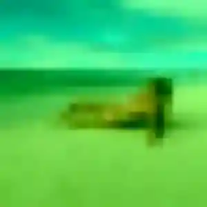 Agnes, 37 ans, cherche un rencontre sexy à Mazan