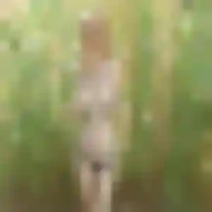 Photo perso de Nelly, 44 ans à Meaux - rencontre sans lendemain