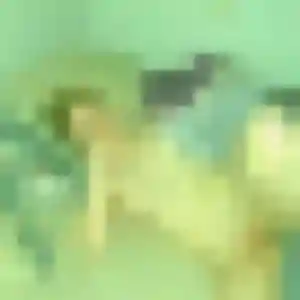 Photo exclusive de Yvonne, 33 ans à Montivilliers - rencontre coquine