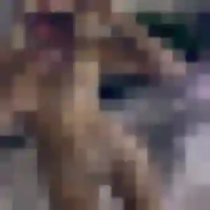 Agnes, 40 ans, veut un rencontre sexy à Montreuil-Juigné