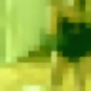 Honorine, femme de 19 ans cherche rencontre sexy à Moulins-lès-Metz