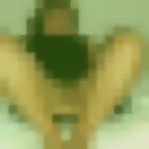 Gilberte, 26 ans, en ligne à Nieppe pour un rencontre sexy