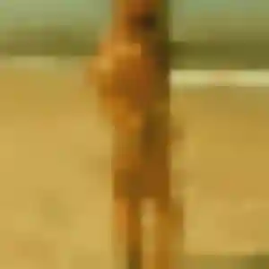 Jolie Naomi, 43 ans à Nogent-sur-Marne - la contacter