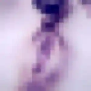 Sexy Melodie, 21 ans à Nort-sur-Erdre - la contacter