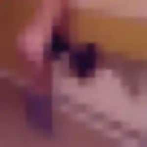 Profil de Naomi à Noyal-Châtillon-sur-Seiche (44 ans) - rencontre sexy sans inscription