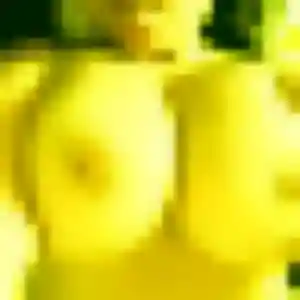 Alix, 25 ans, en ligne à Paray-Vieille-Poste pour un rencontre sexy